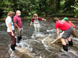 FODC works to improve Deckers Creek quality